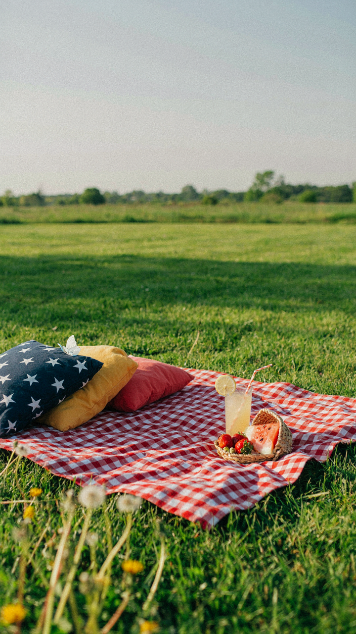 A simple picnic blanket with cushions sits on green grass.