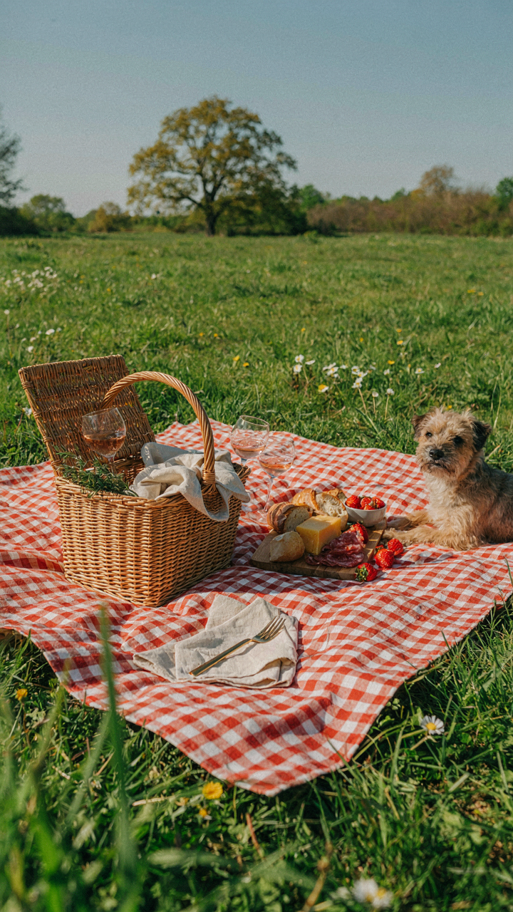 A picnic blanket styling includes an organized basket and neatly placed food.