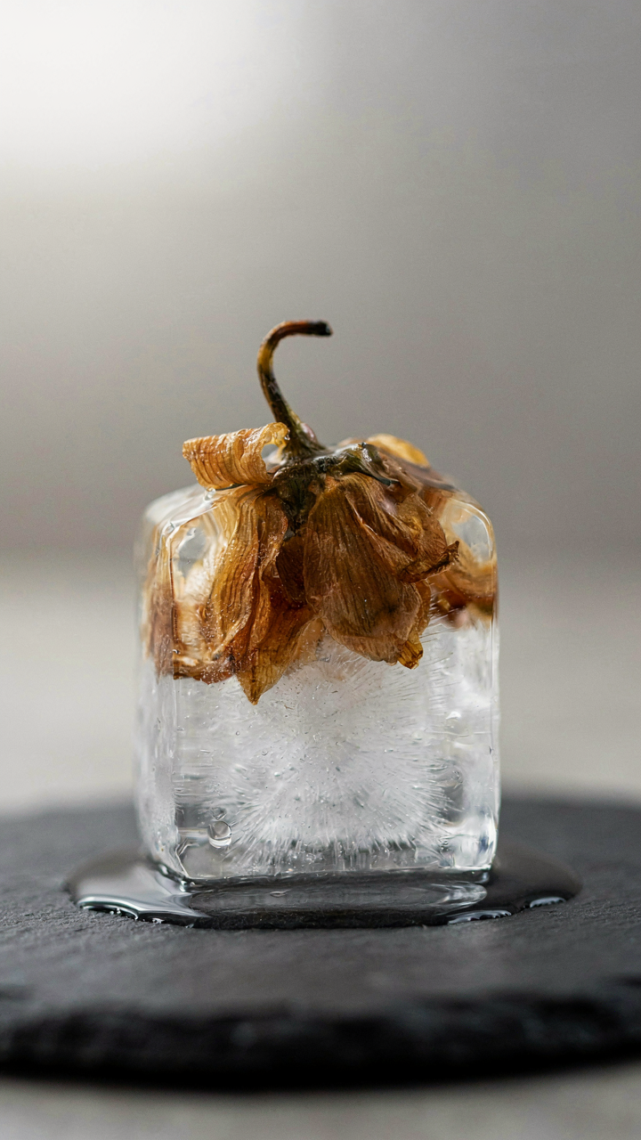 A single brown, faded flower trapped inside a cloudy ice cube.