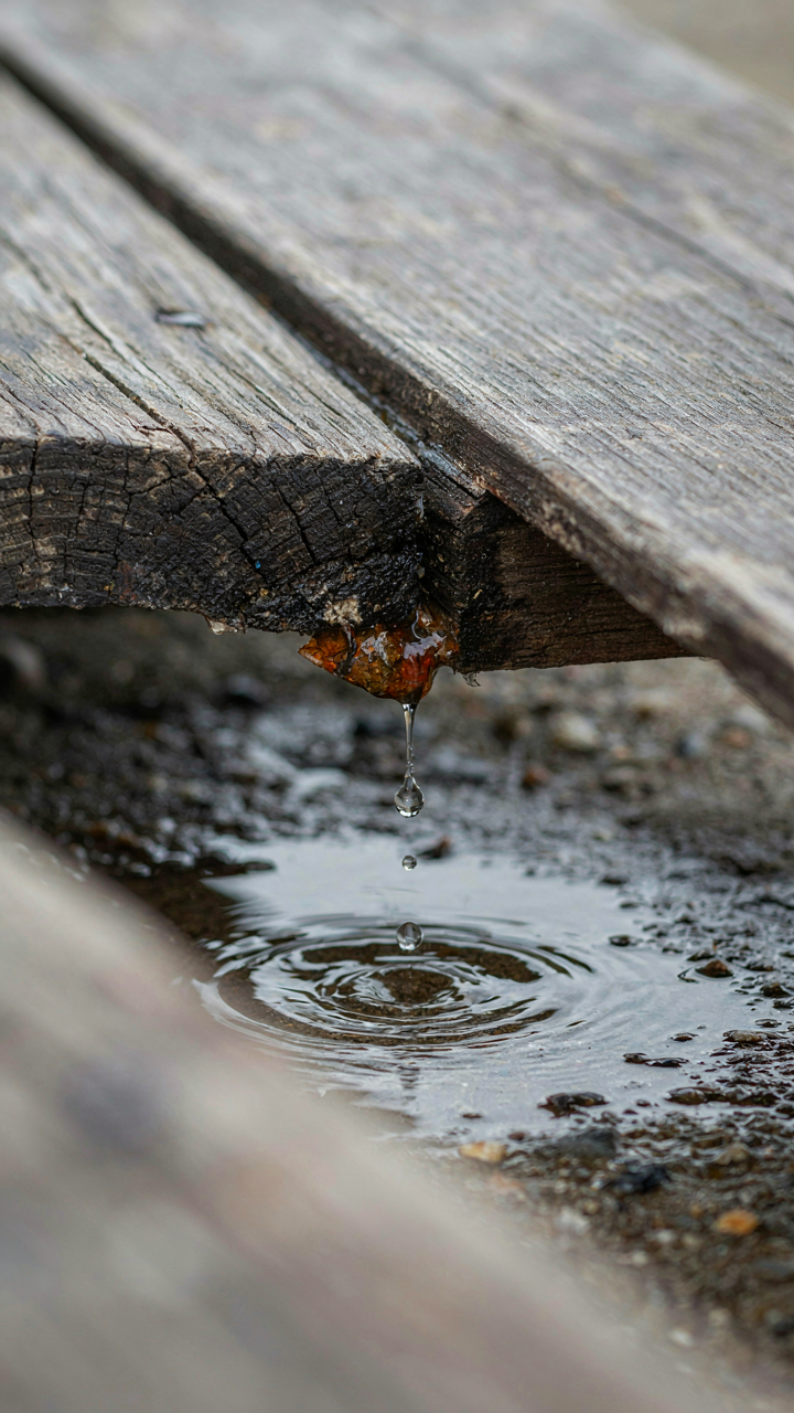 Water dripping from a poorly sealed seam on wood.