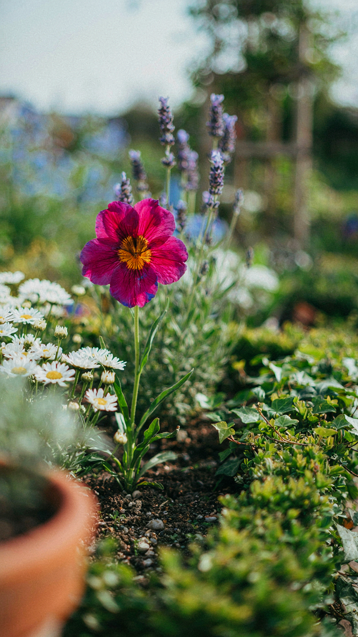 A vibrant, unique flower stands out in a carefully tended garden.