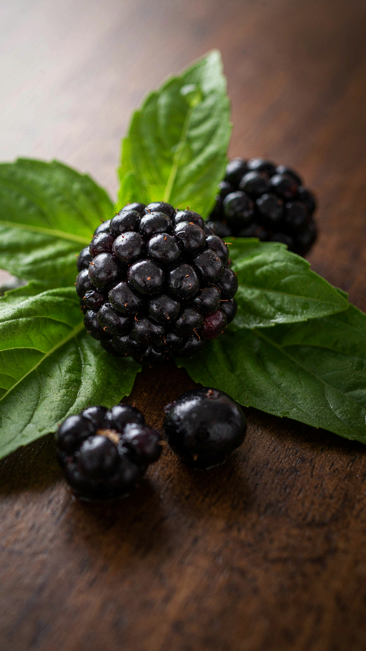 Dark blackberries with a natural bloom sit among deep green basil leaves.