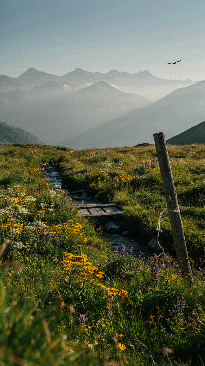 Distant mountains look hazy, showing atmospheric perspective.