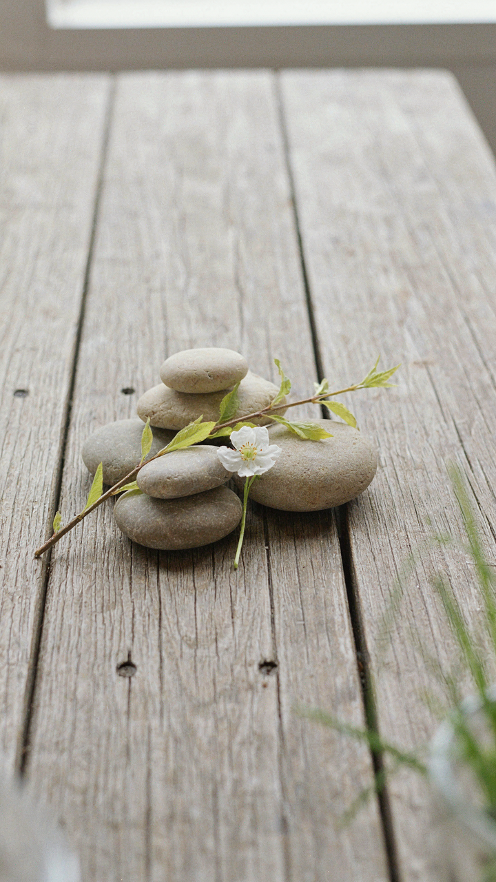 Natural elements like stones, a branch, and a white flower on a wood table.