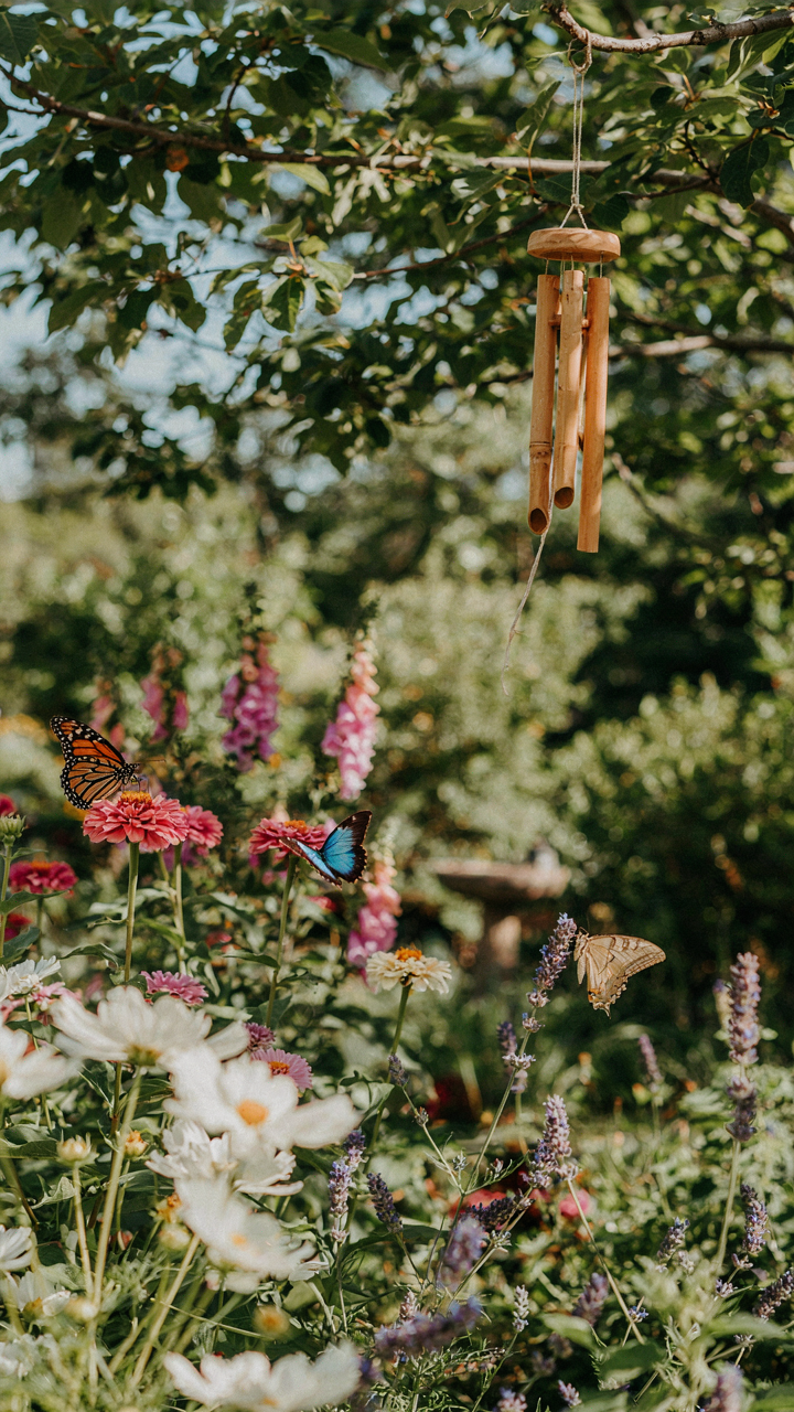 A calm butterfly garden with wind chimes and sunlight filtering through trees.