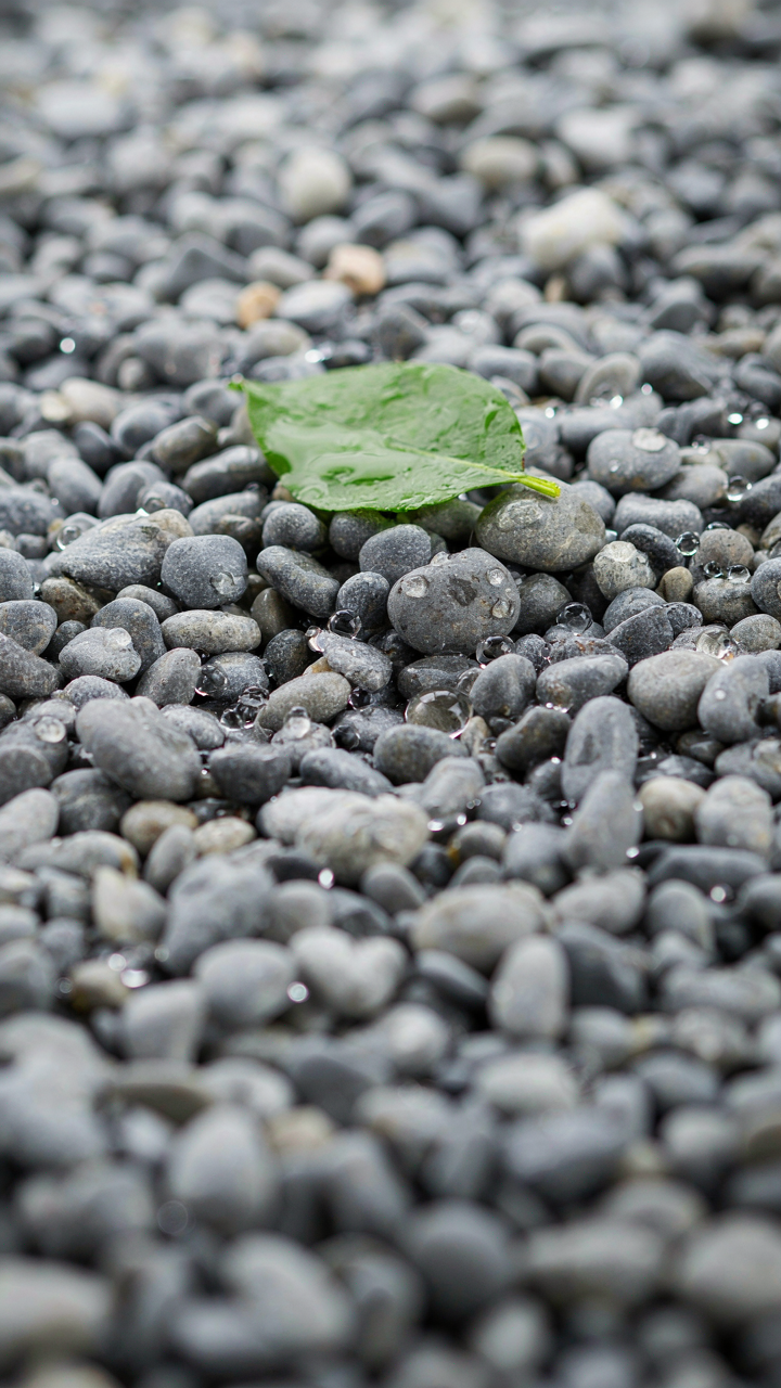 Water droplets soak into a bed of smooth gray gravel.