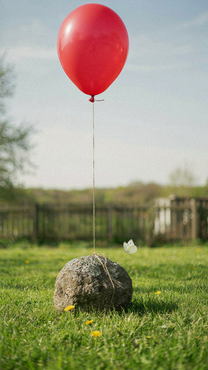 A heavy rock tied to a balloon, holding it to the grass.