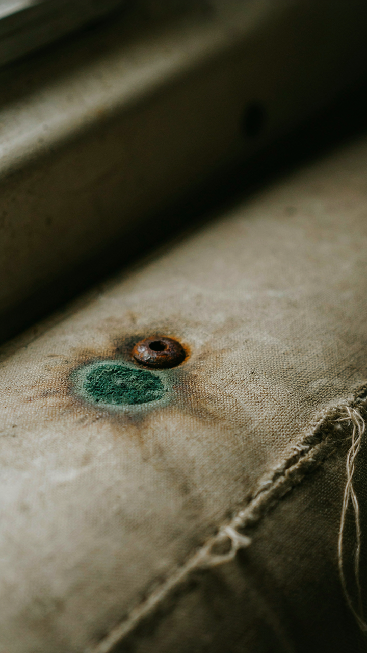 A patch of green mold grows on damp fabric inside an RV.