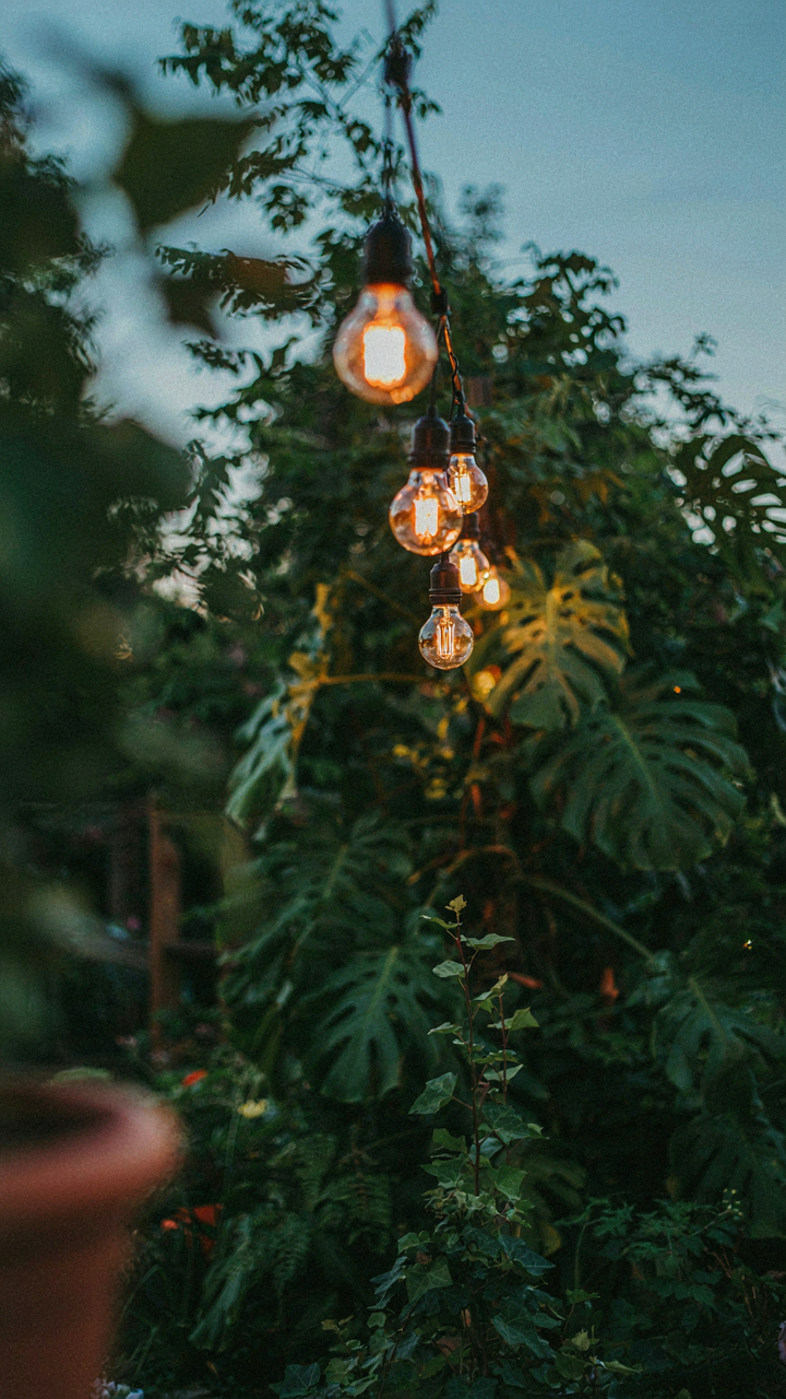 Warm Edison bulbs cast a soft glow in a backyard at night.