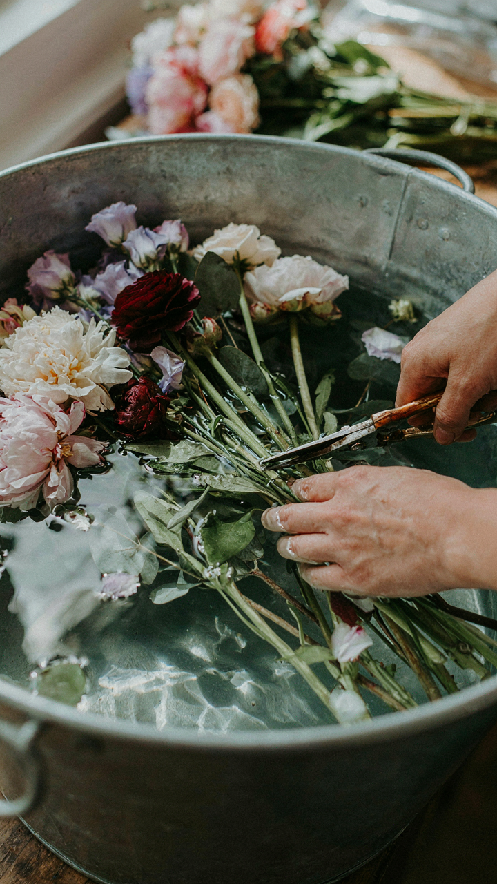 A florist trims flower stems underwater in a large bucket.