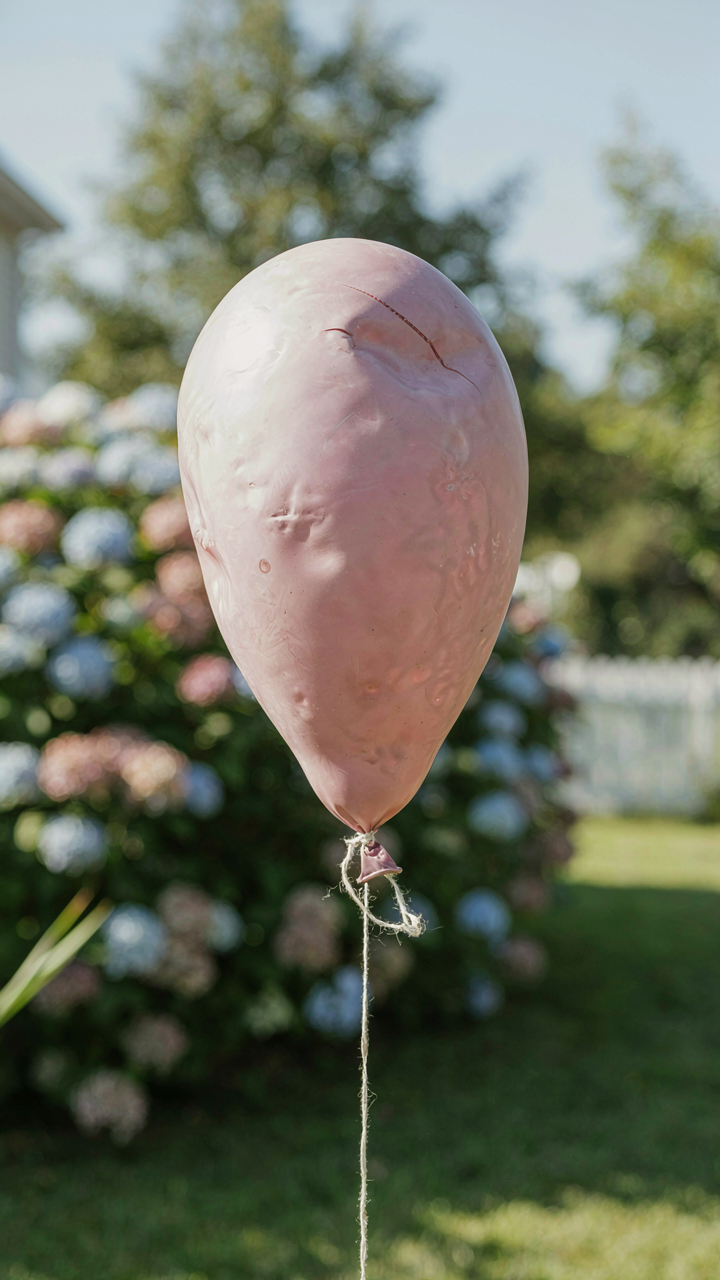 A deflated and faded latex balloon hangs limply in a sunny garden.