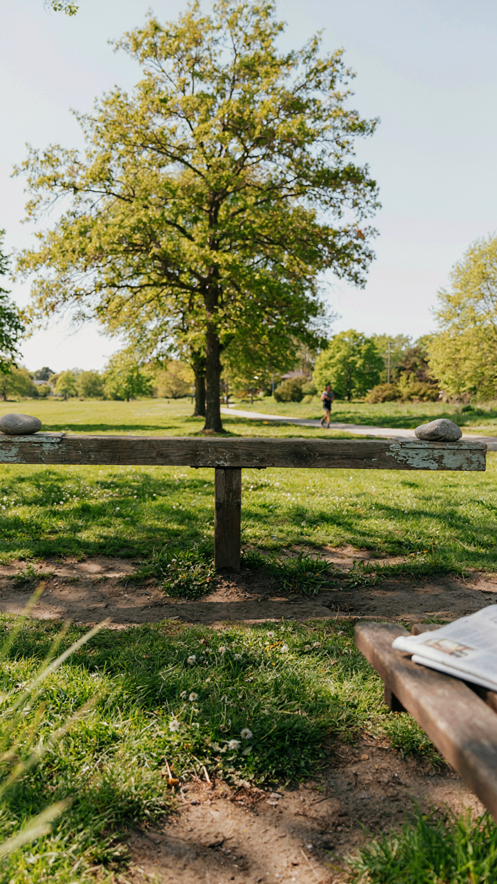 A strong seesaw with equal weight on each side sits balanced in a sunny park.