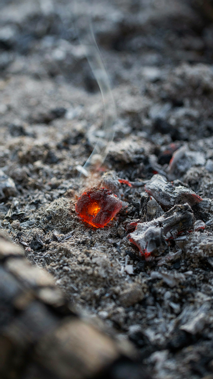 A glowing ember is visible within a pile of cooling ash.