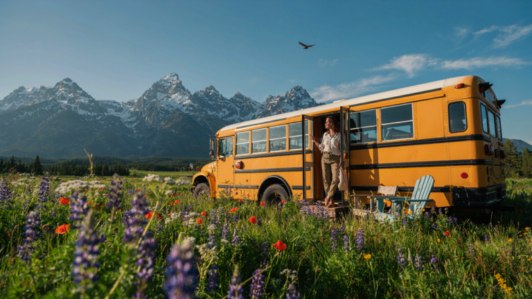 A converted school bus, gleaming under sunlight, parked in a green meadow.