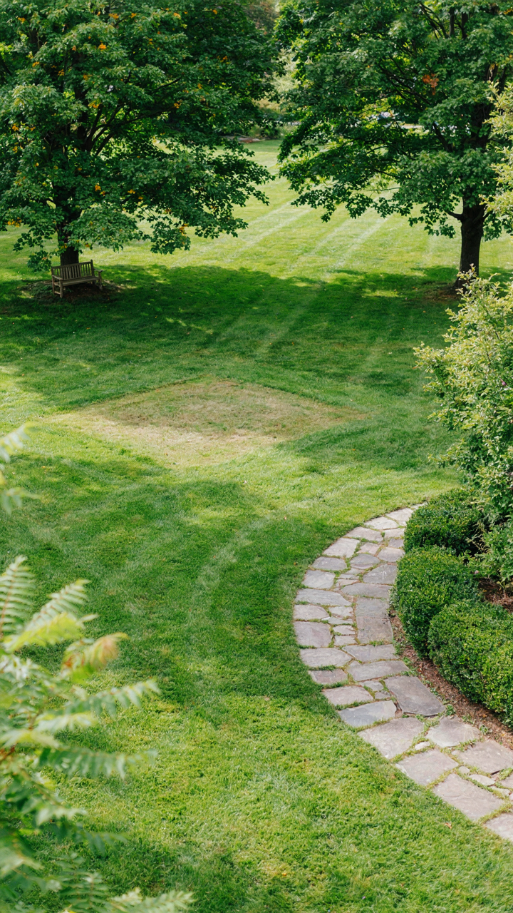 An aerial view of a landscaped backyard with a clear spot for a tent.