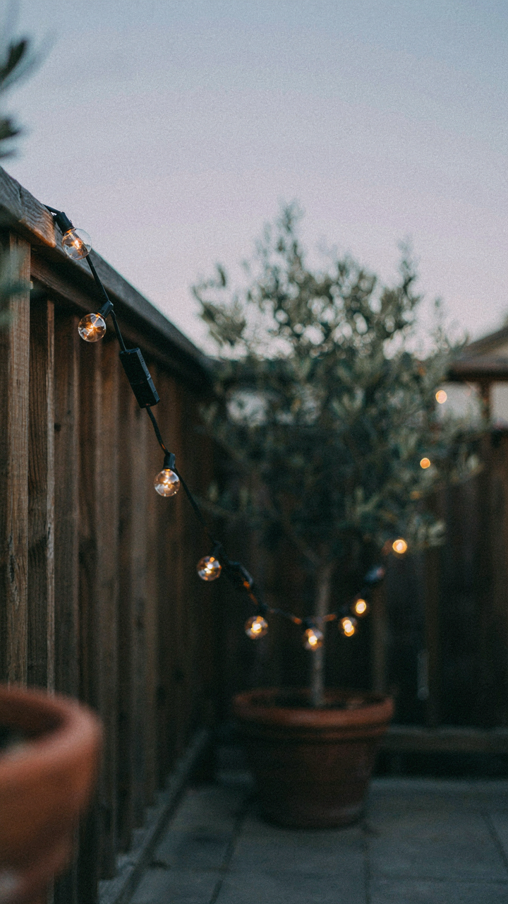 Solar string lights drape across a patio, glowing softly.