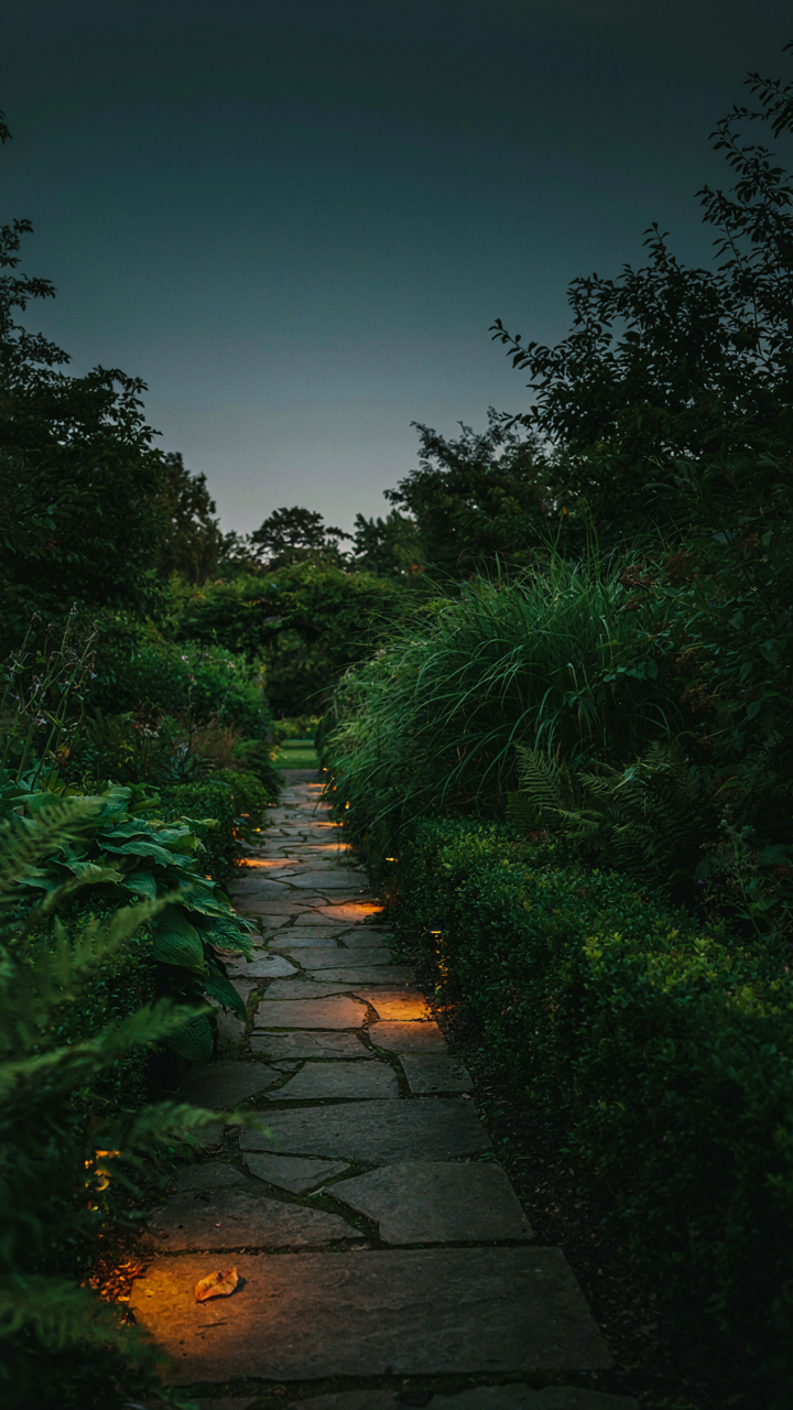 A garden path is subtly lit by ground lights, guiding the way.