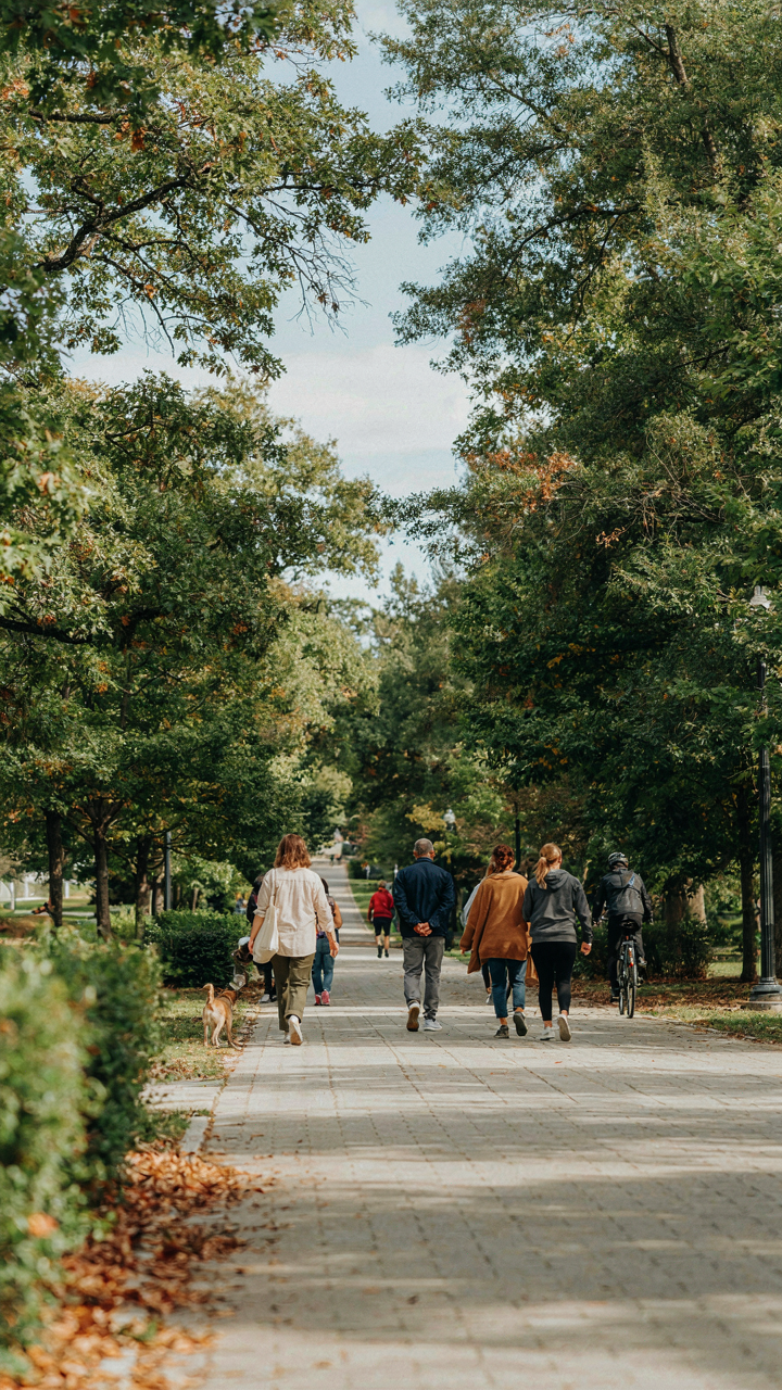 A wide, clear pathway in a park with people walking smoothly.