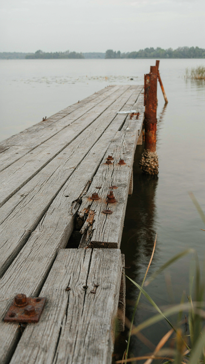 A worn wooden dock shows cracked planks and rusty metal bolts.
