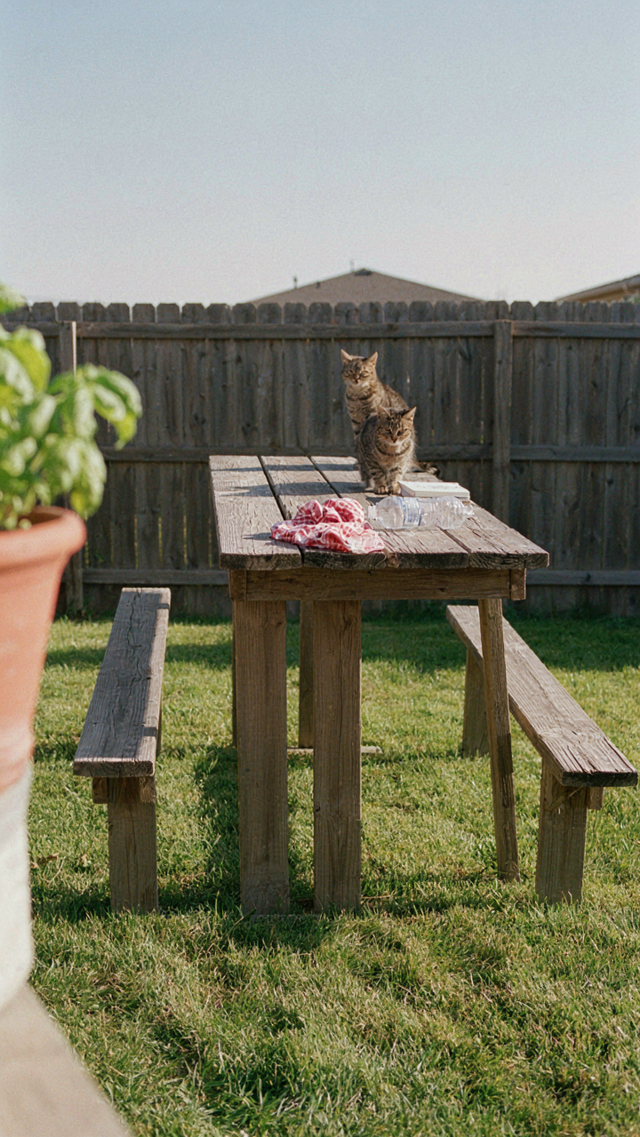 A tall picnic table with high benches creates an awkward sitting posture.