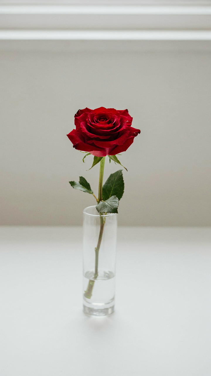 A single red rose in a clear vase on a clean, empty white table.