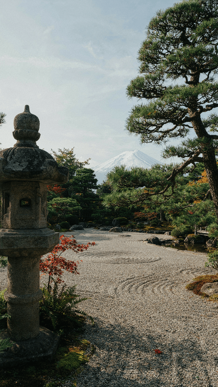A Japanese garden frames a distant mountain through a tree.