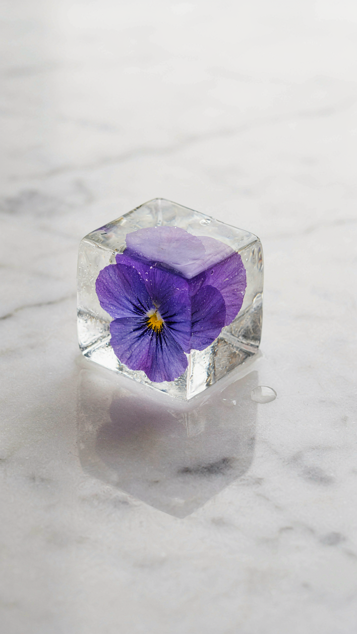 A clear ice cube holds a bright purple pansy in its center.