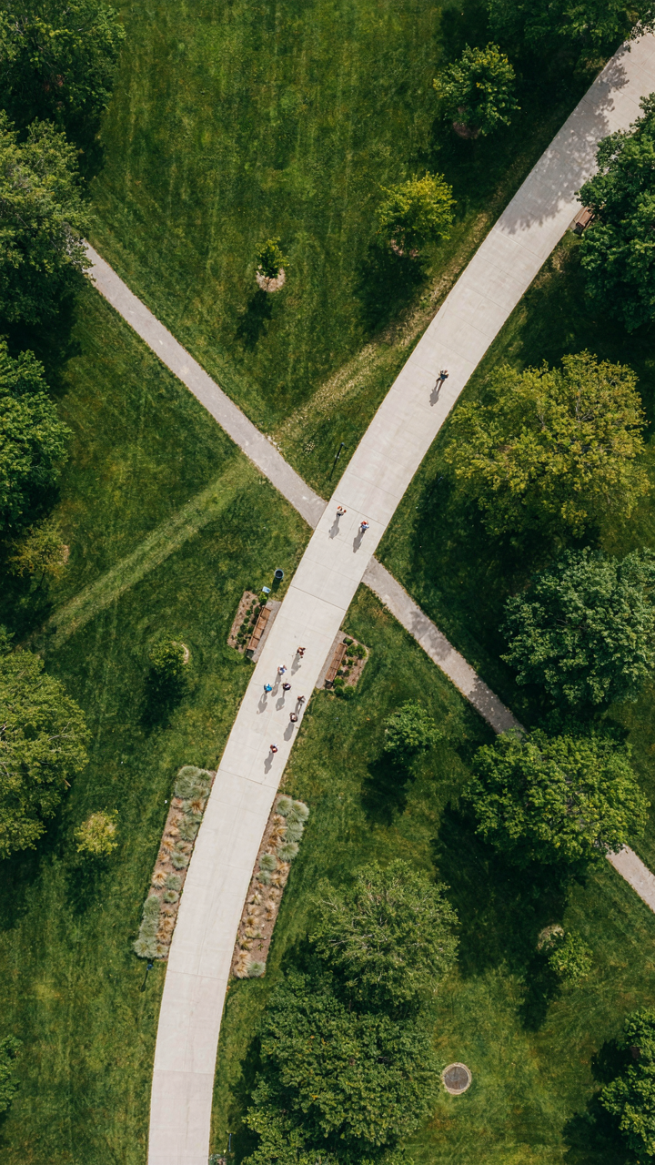 A park path shows natural desire lines formed by many walkers.