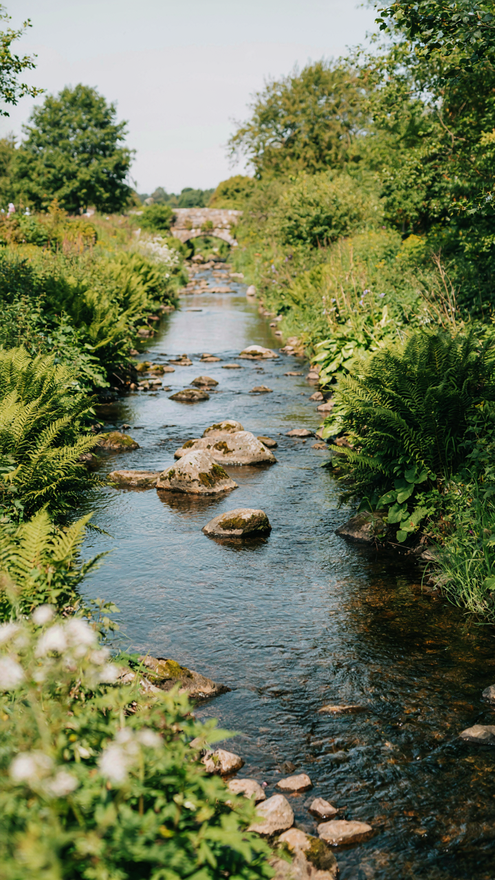 A gentle river flows around smooth rocks in a garden.