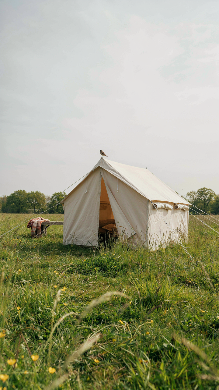 A small tent stands firm with ropes staked to the ground on a windy day.