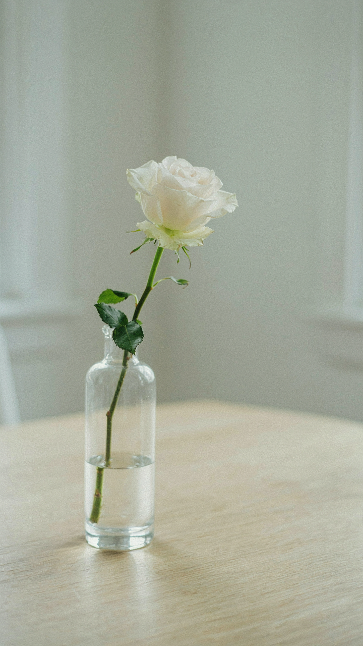 A single white rose sits in a clear vase on a wooden table.