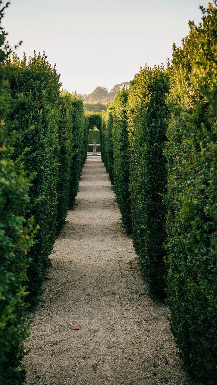 A complex garden maze with winding paths and no clear flow.