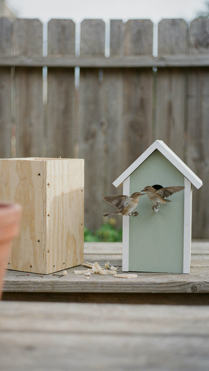 A partially built birdhouse sits next to a finished one with birds.