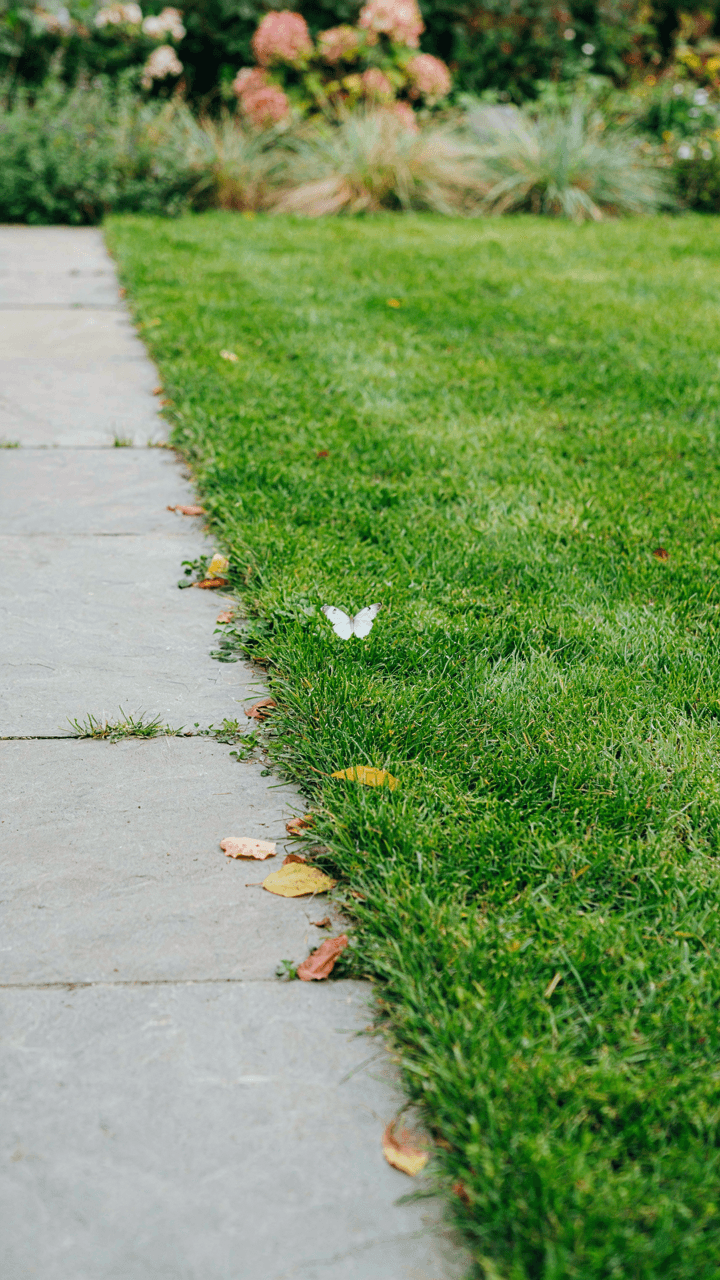 A stone patio blends smoothly into a vibrant green lawn.
