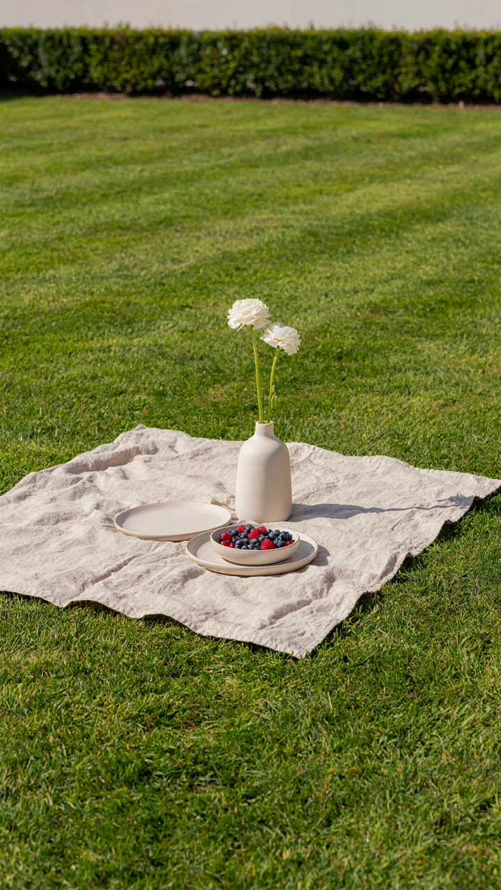 A minimalist picnic setup with a blanket, two plates, and a single flower on green grass.