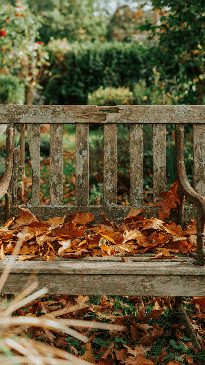 A close-up of a weather-worn garden bench covered in fallen leaves.