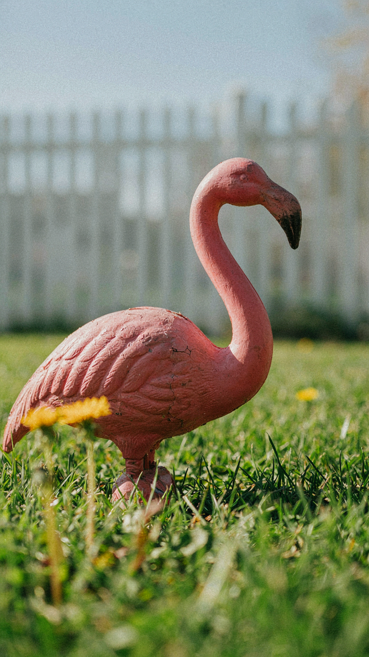 A faded, cracked plastic lawn decoration sits on green grass in the sun.
