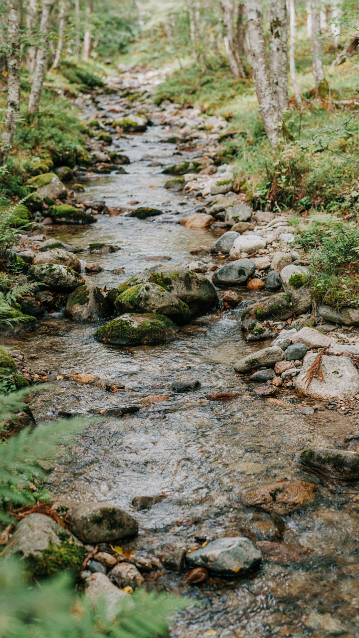 A clear stream flows around rocks in its path.