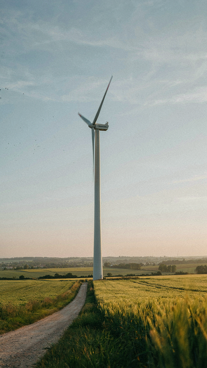 A wind turbine spins in a rural landscape on a warm, sunny day.