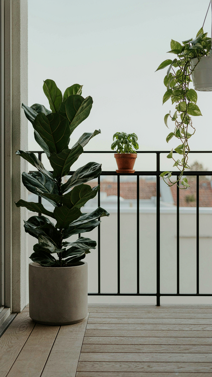 A clean balcony has a few simple, well-placed potted plants.