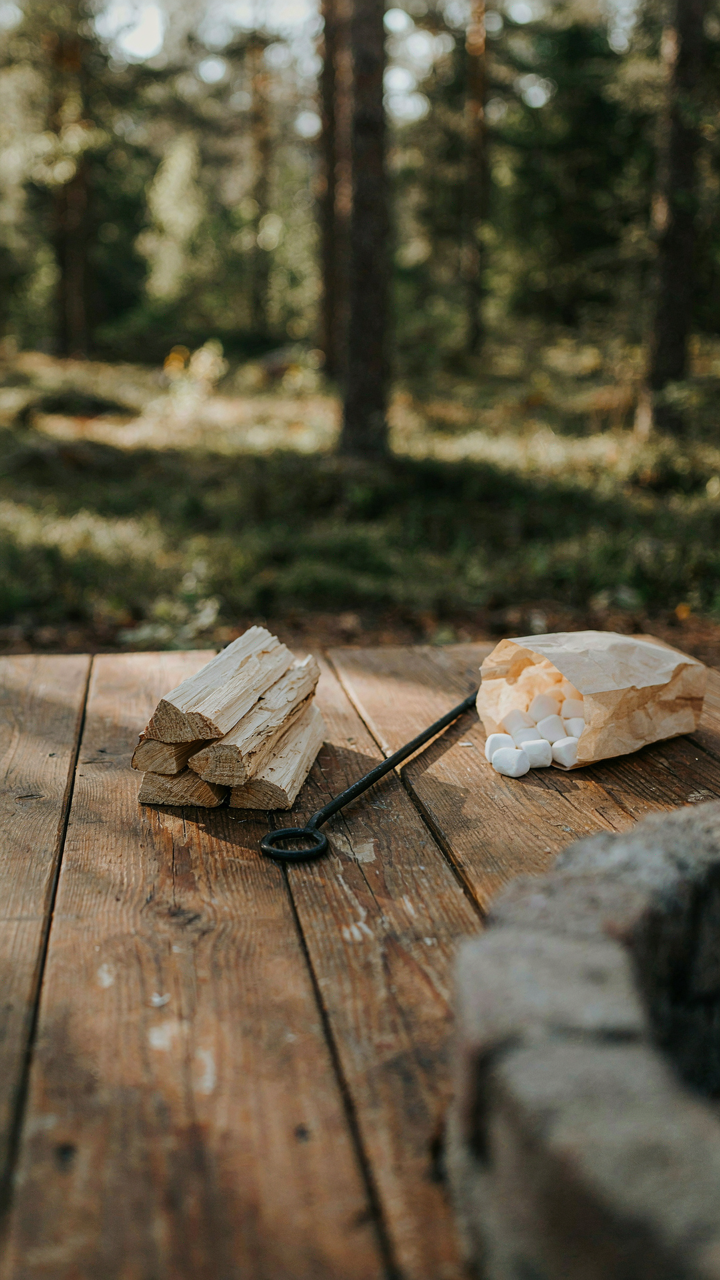 Simple firewood, a roasting stick, and marshmallows for a fire pit party.