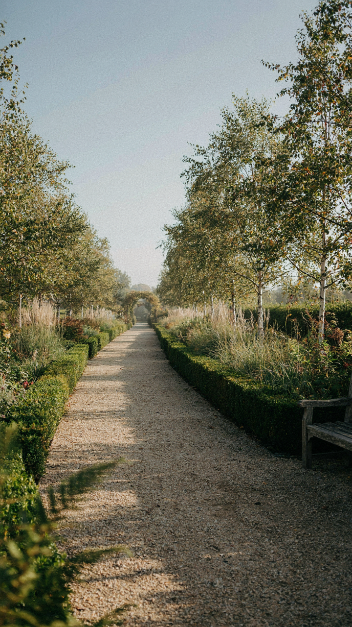 A clear, well-defined winding path through a garden, representing a critical route.