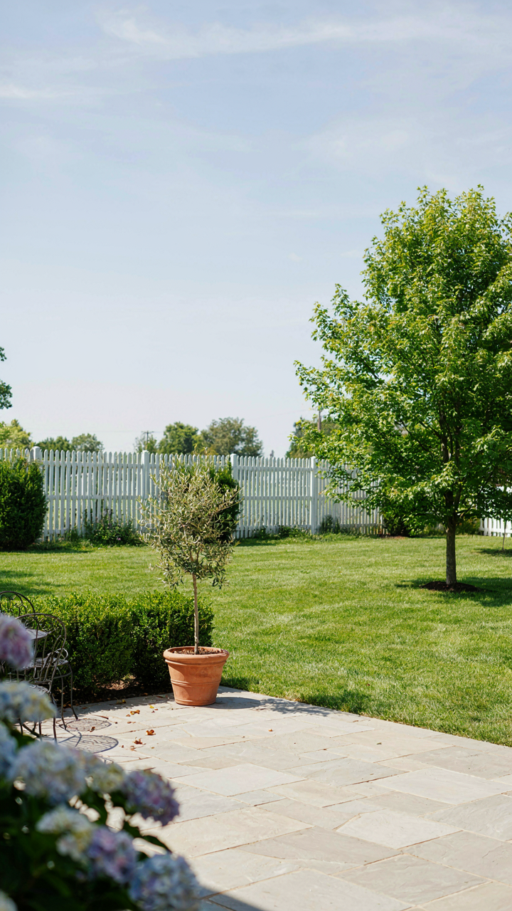 A clean backyard with no standing water or overgrown plants.