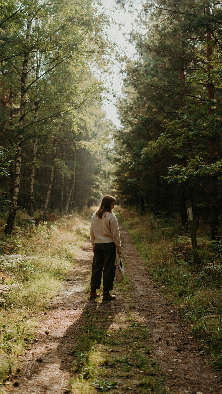 A person stands at a crossroads in a forest, looking at two paths.