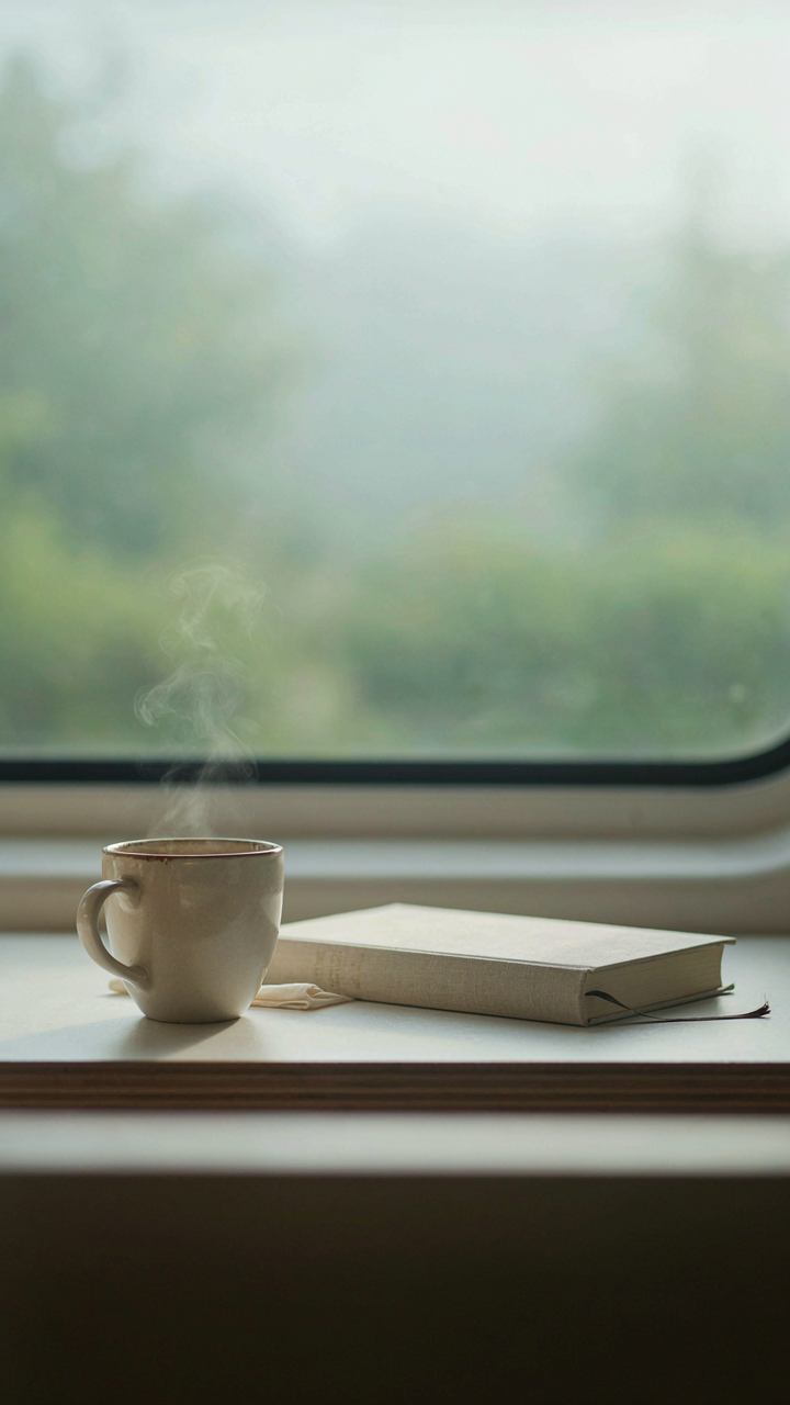 A minimalist van kitchen counter has only a coffee mug and a book.