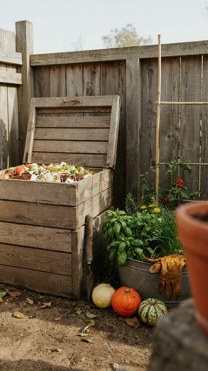 A compost bin next to an herb garden and decorative gourds.