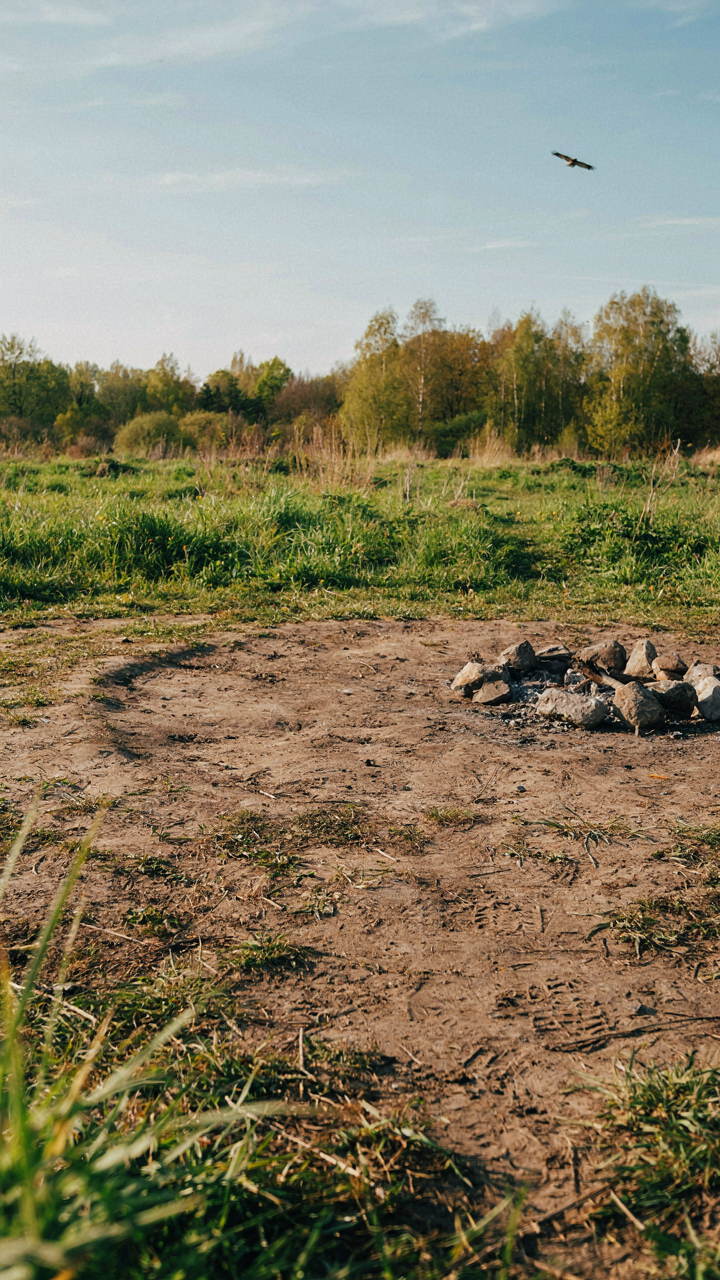 A perfectly clean, empty festival campsite with no trash left behind.
