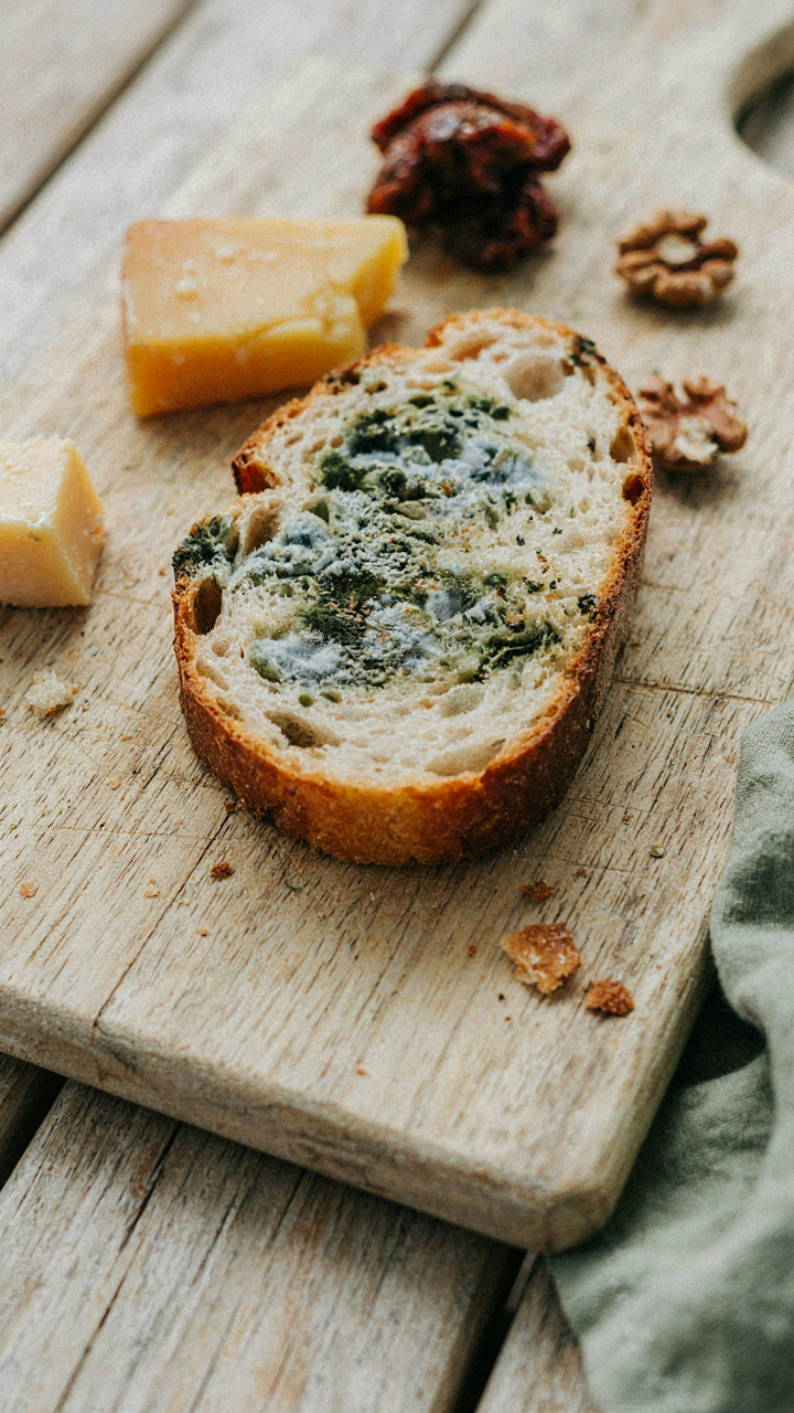 Mold grows on bread on an outdoor charcuterie board next to congealed cheese.