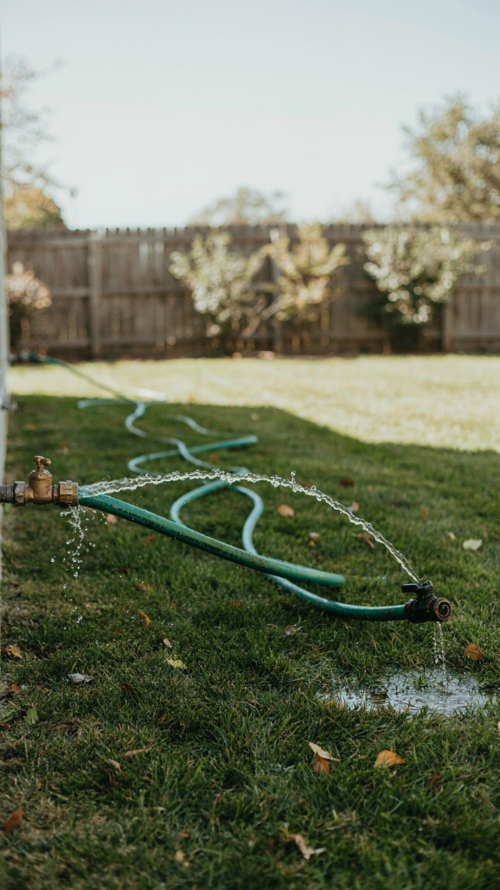 A garden hose with weak water coming out of its end.