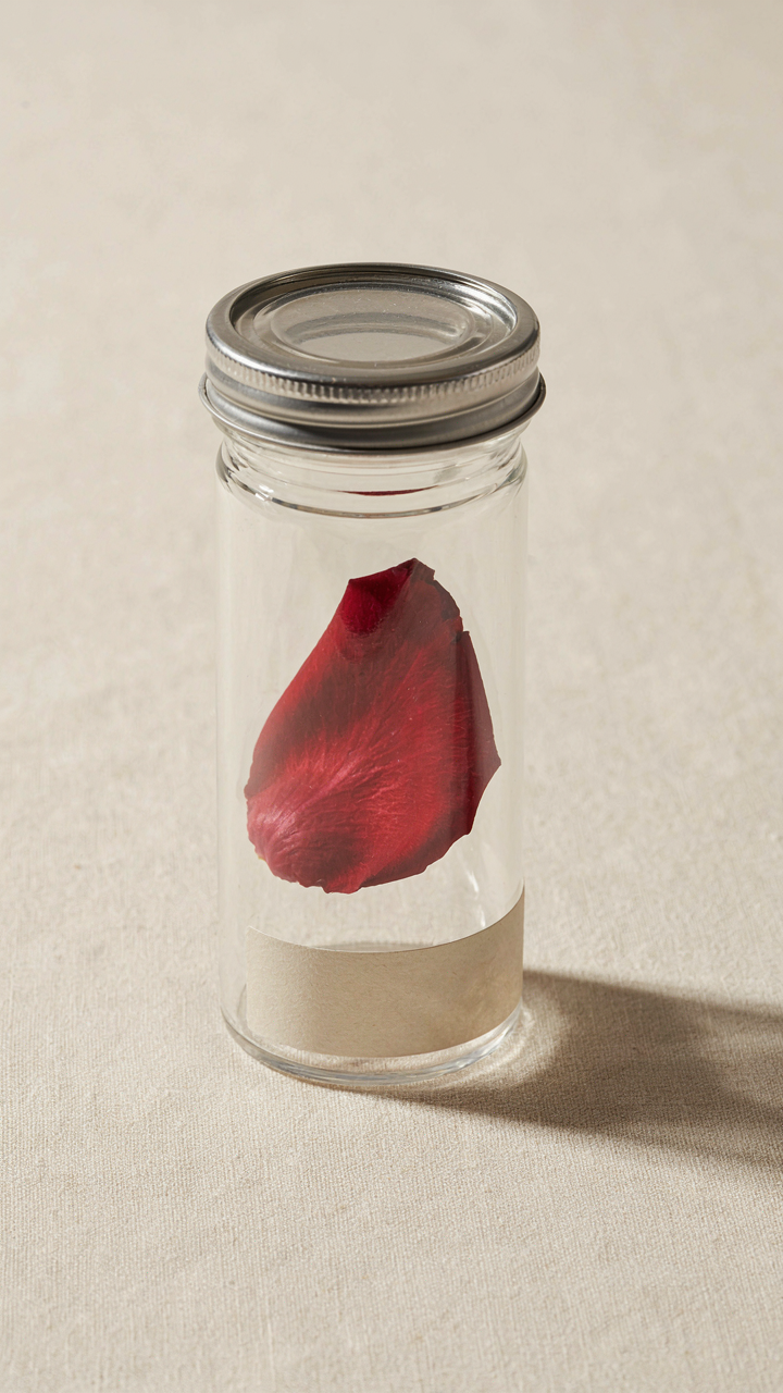 A perfect rose petal is sealed inside a scientific container with a future date.